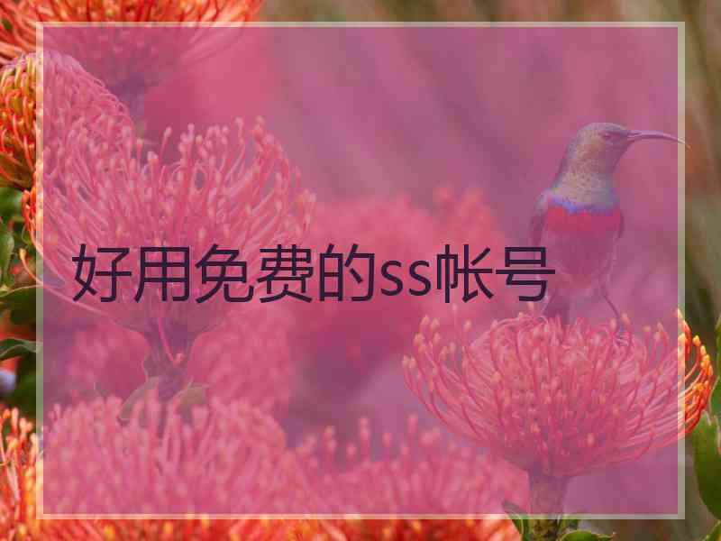 好用免费的ss帐号