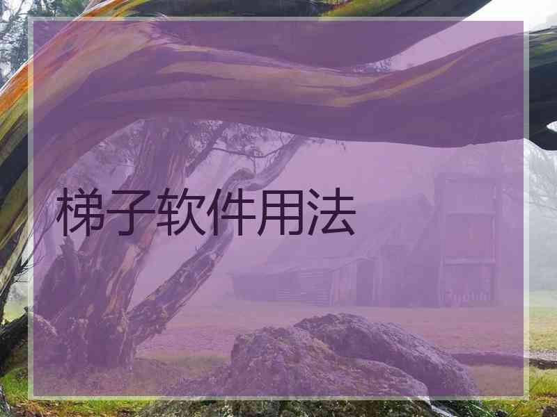 梯子软件用法