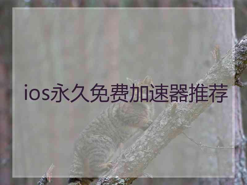ios永久免费加速器推荐