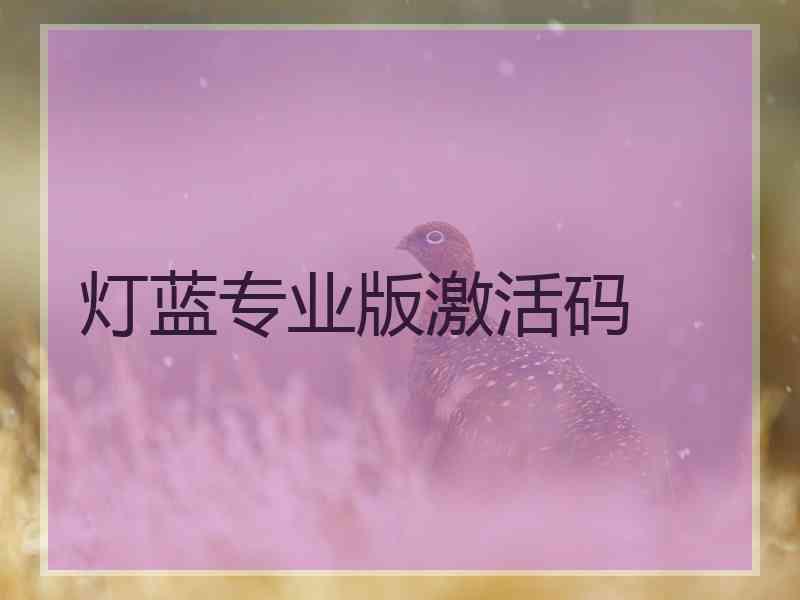 灯蓝专业版激活码