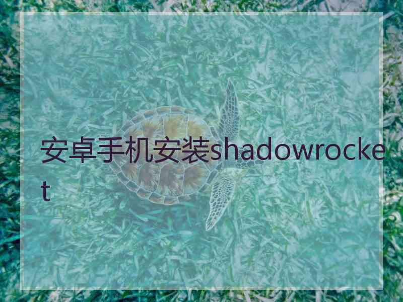 安卓手机安装shadowrocket