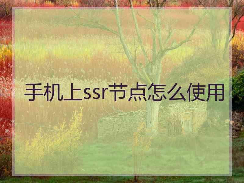 手机上ssr节点怎么使用