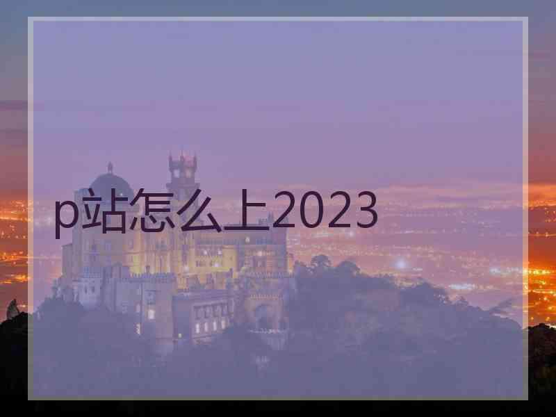 p站怎么上2023