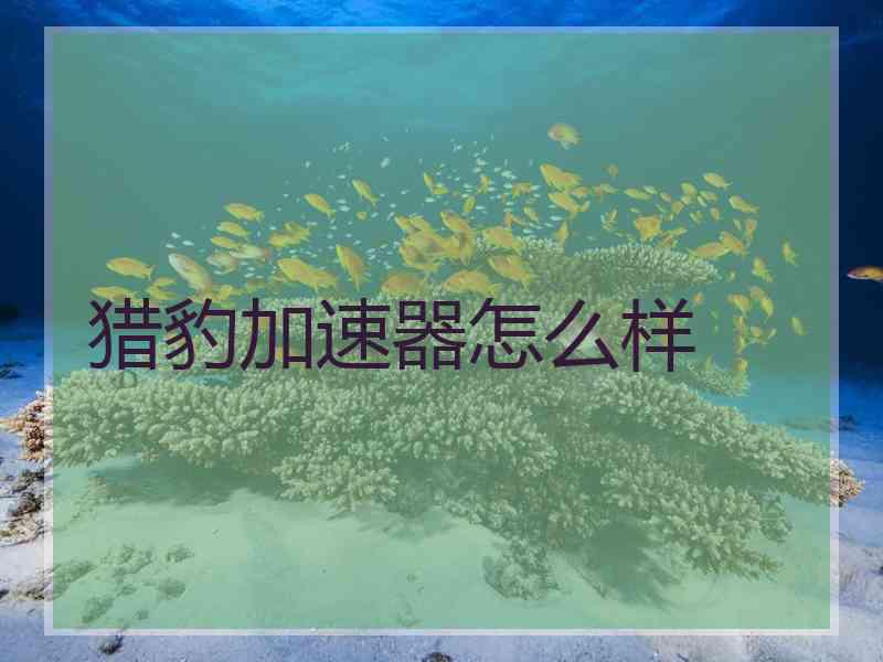 猎豹加速器怎么样