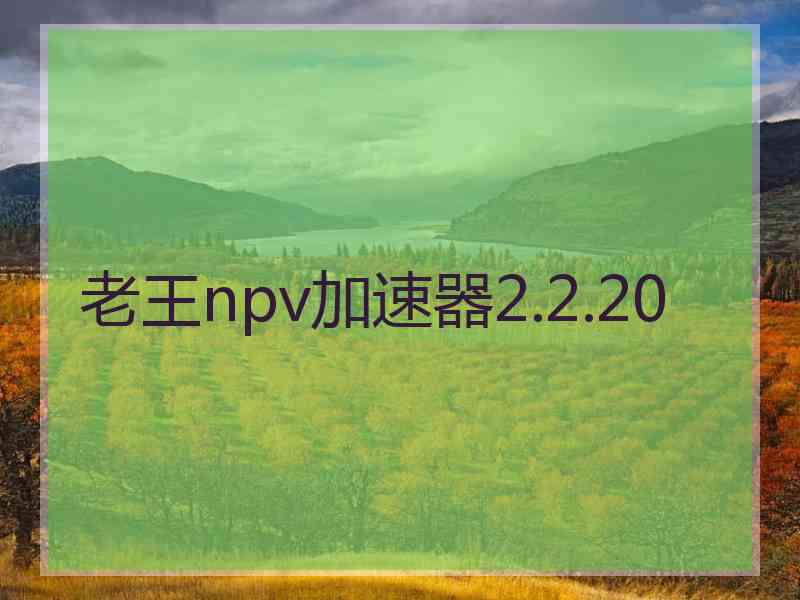 老王npv加速器2.2.20