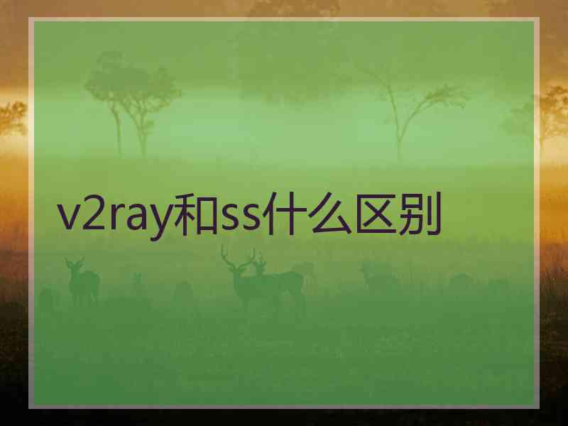 v2ray和ss什么区别