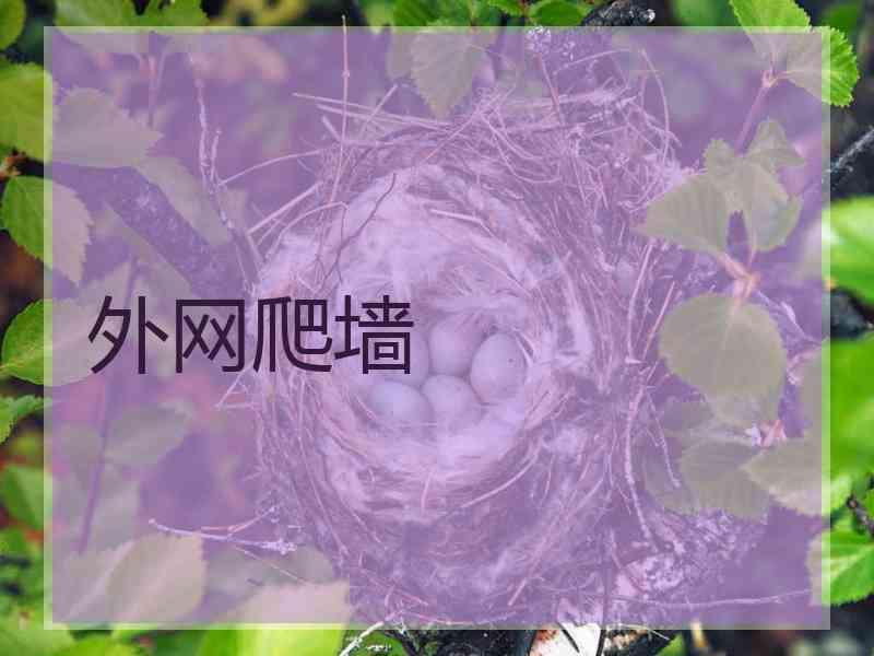 外网爬墙