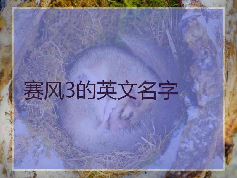 赛风3的英文名字
