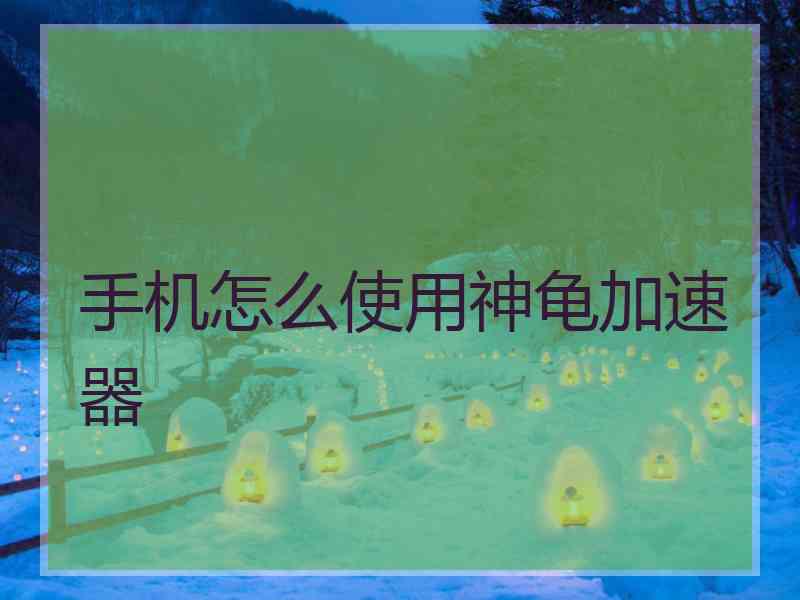 手机怎么使用神龟加速器