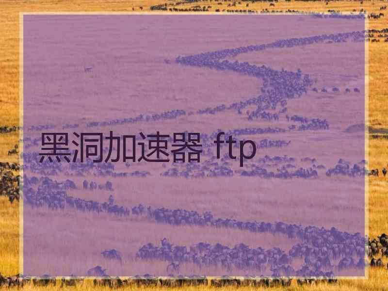 黑洞加速器 ftp
