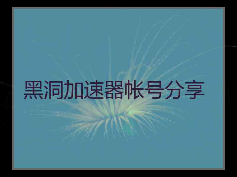 黑洞加速器帐号分享