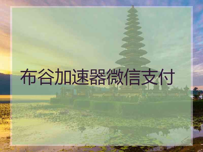 布谷加速器微信支付