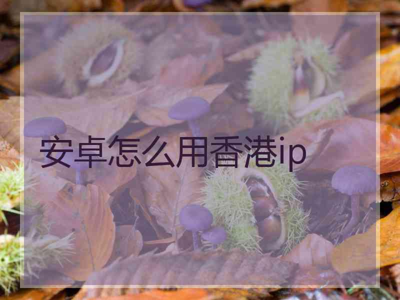 安卓怎么用香港ip