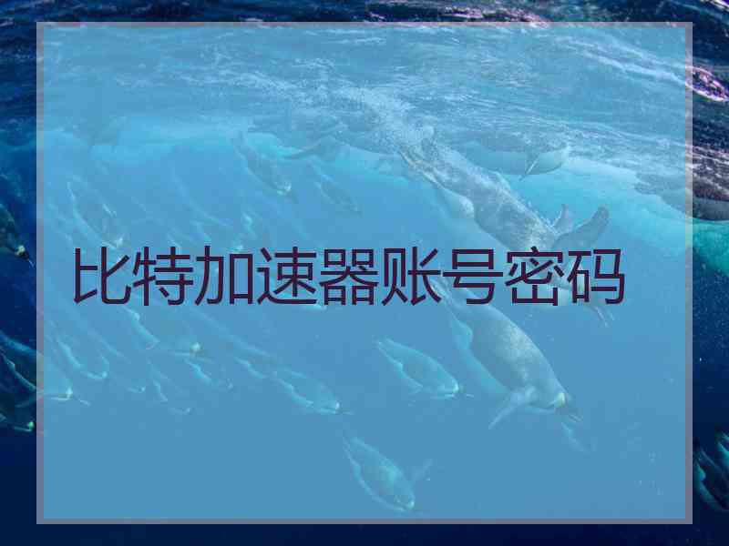 比特加速器账号密码
