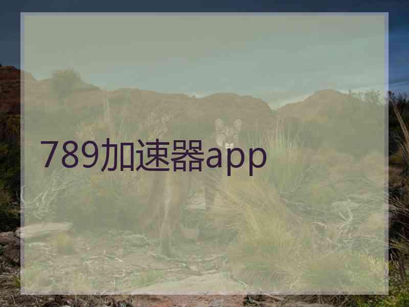 789加速器app