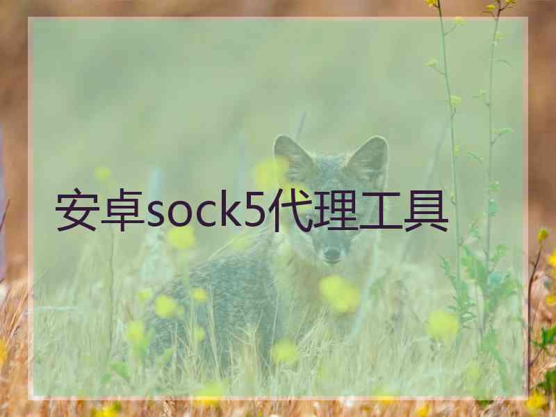 安卓sock5代理工具