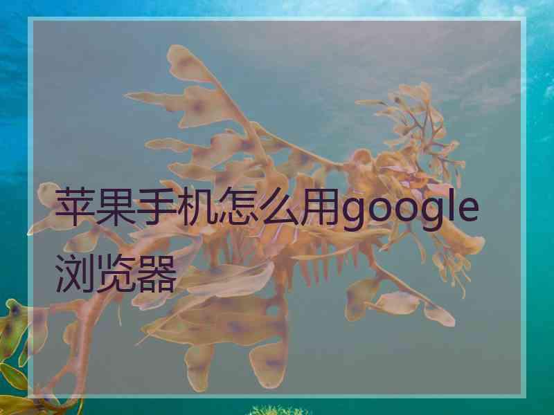 苹果手机怎么用google浏览器