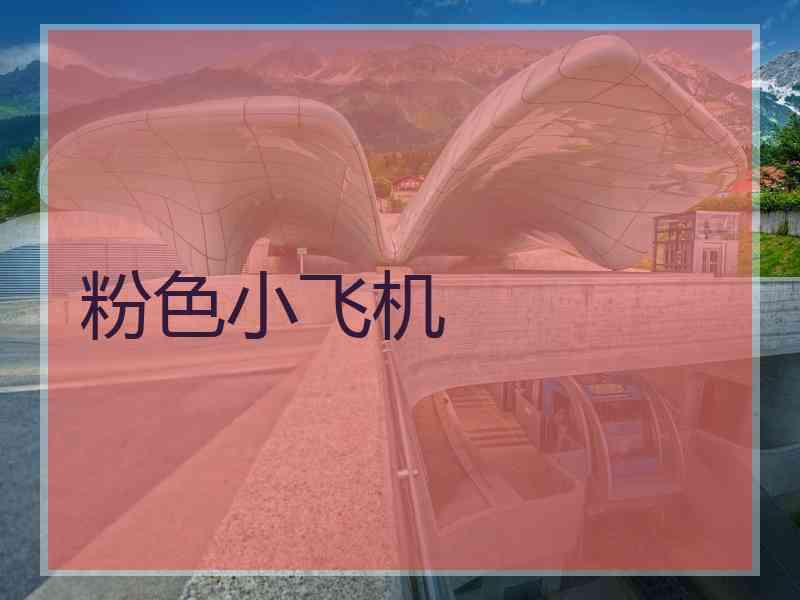 粉色小飞机