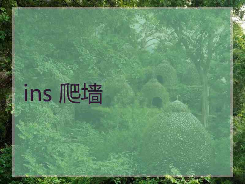 ins 爬墙
