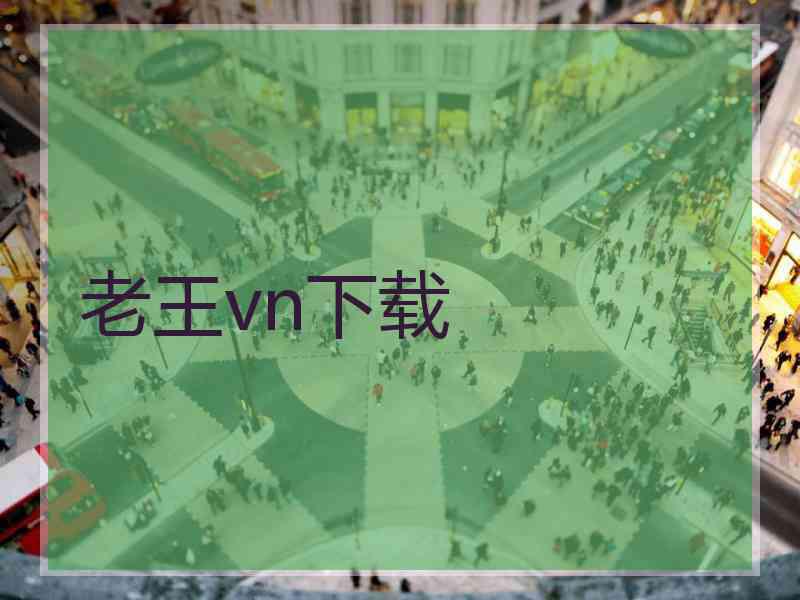老王vn下载