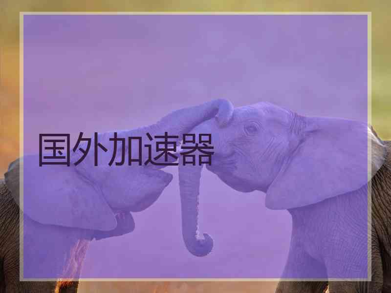 国外加速器