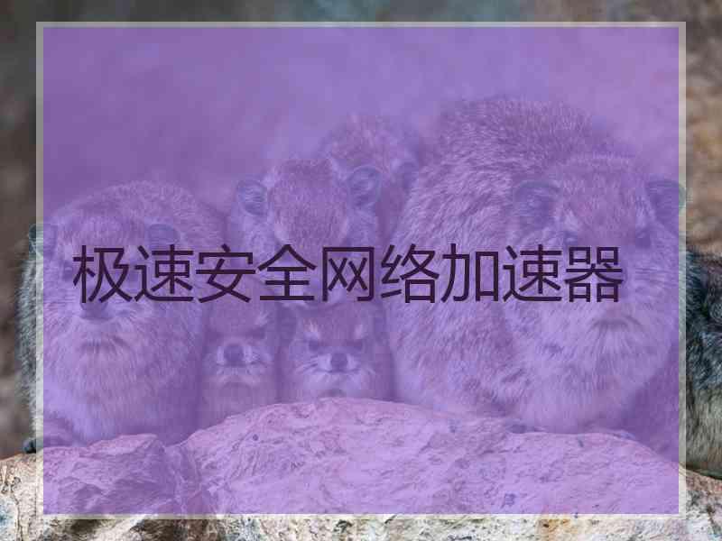 极速安全网络加速器