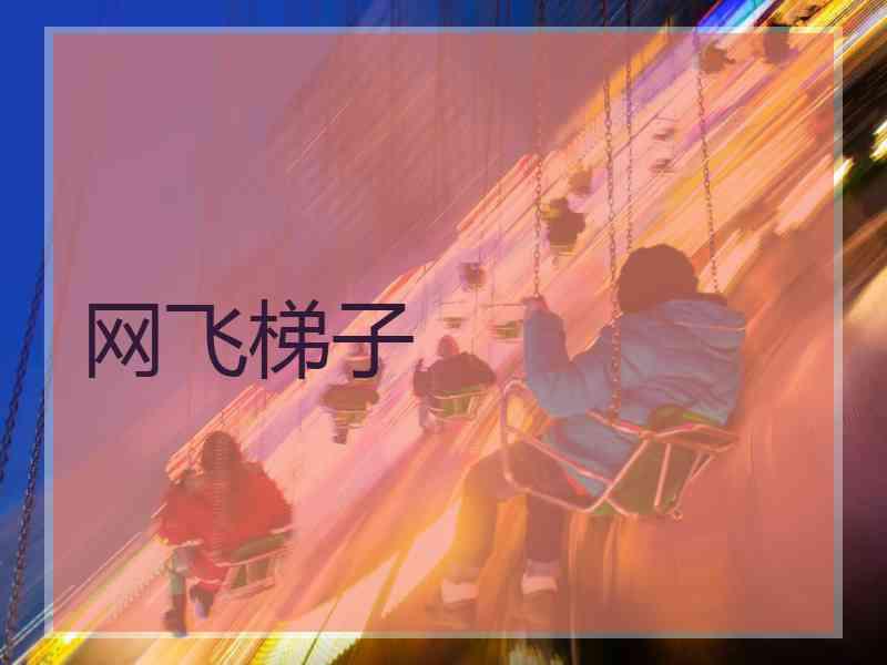 网飞梯子