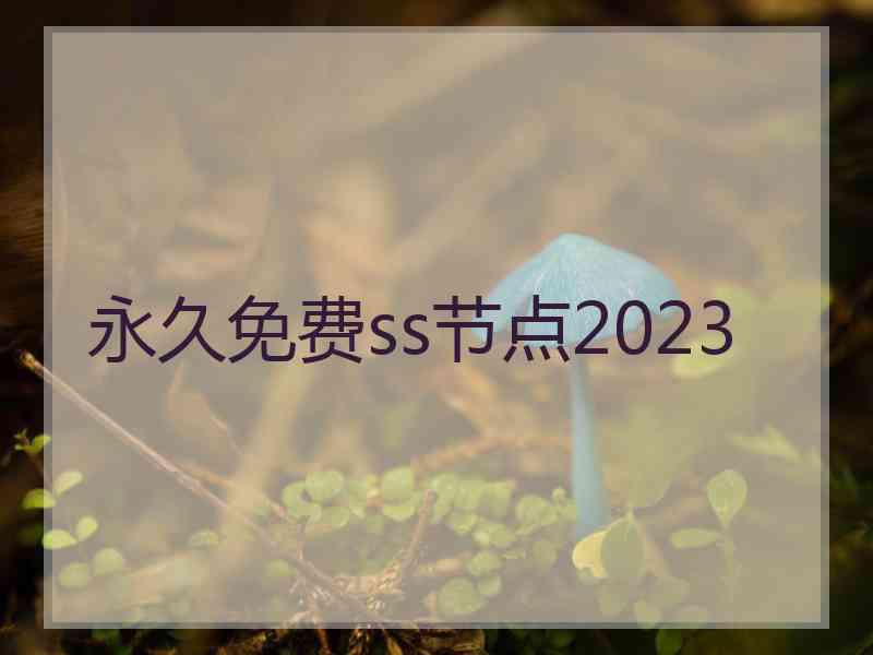 永久免费ss节点2023