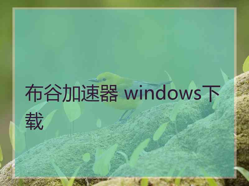 布谷加速器 windows下载