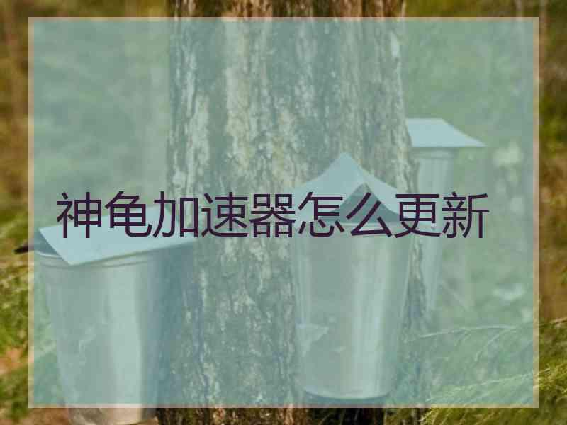 神龟加速器怎么更新
