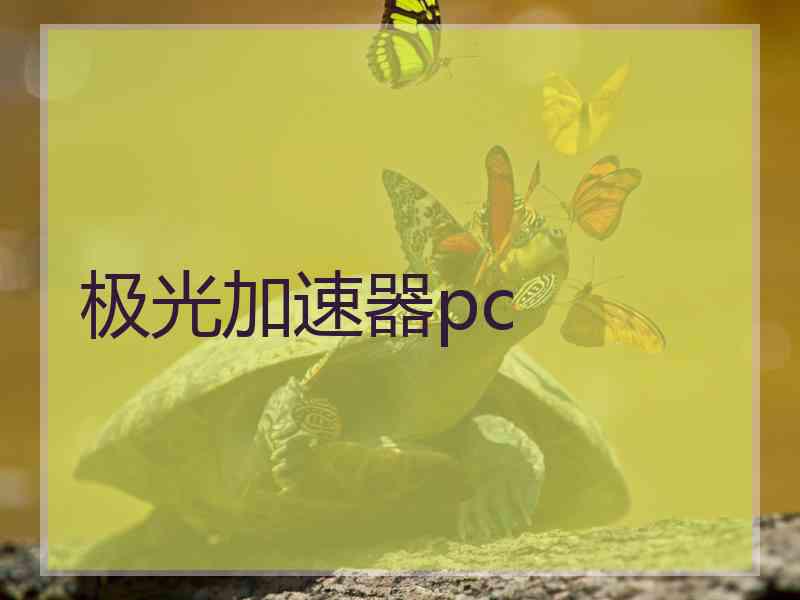 极光加速器pc