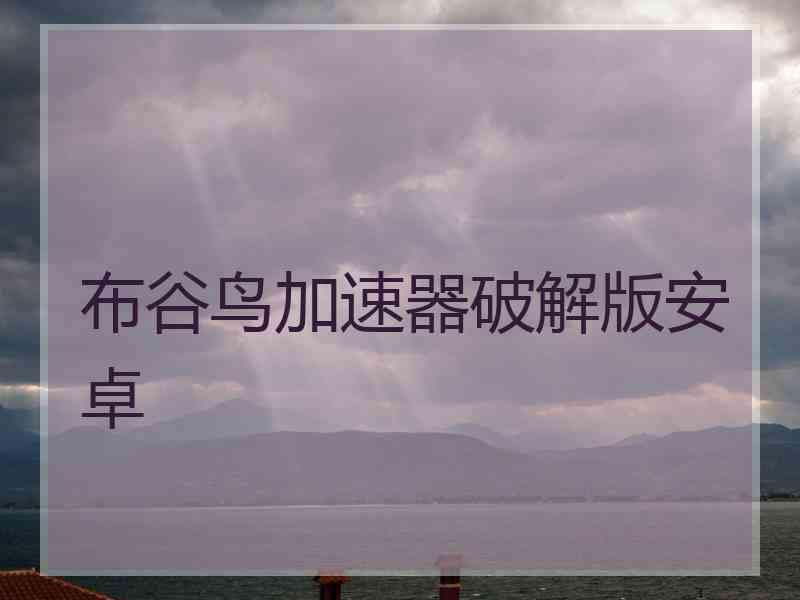 布谷鸟加速器破解版安卓