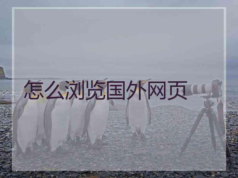 怎么浏览国外网页