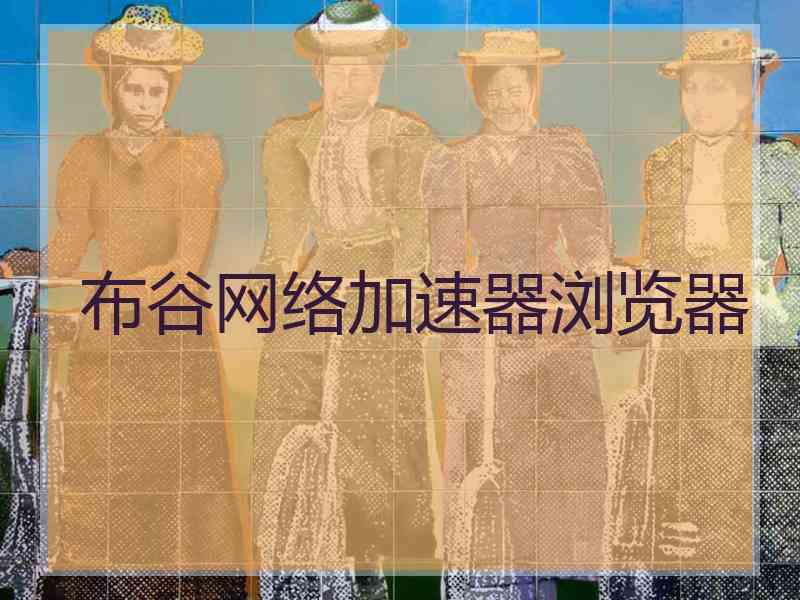 布谷网络加速器浏览器