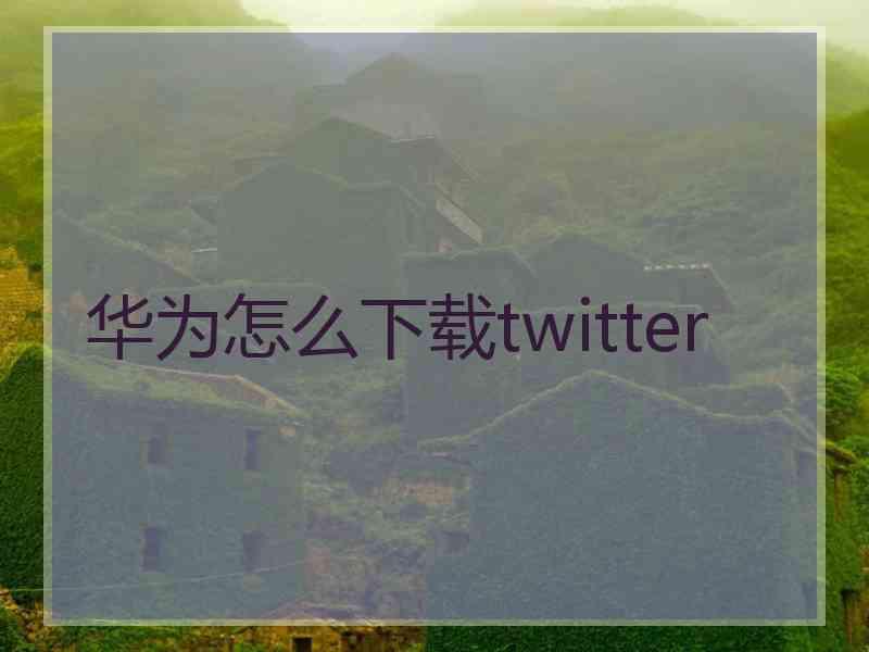 华为怎么下载twitter
