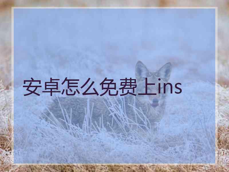 安卓怎么免费上ins