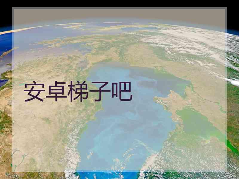 安卓梯子吧
