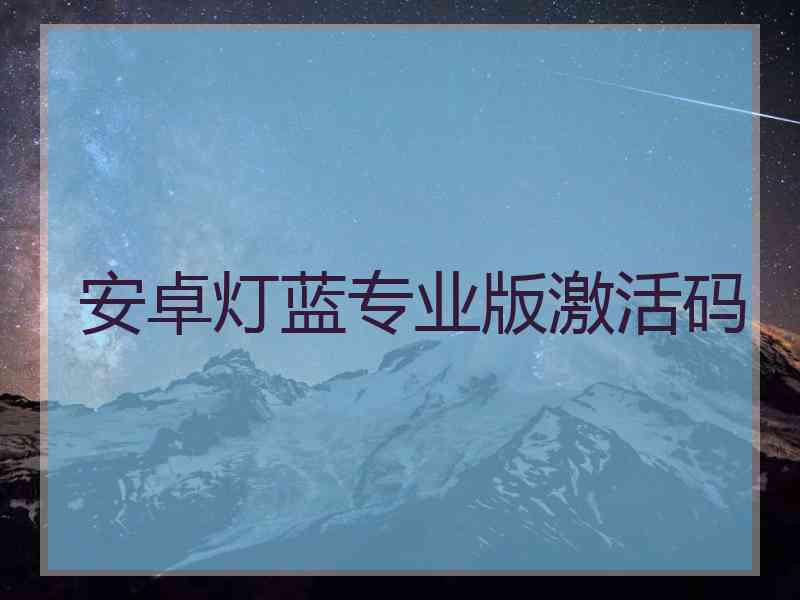 安卓灯蓝专业版激活码