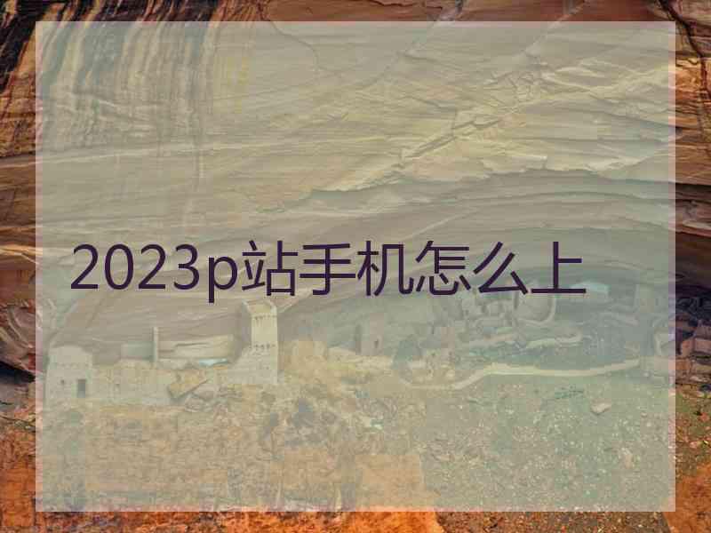 2023p站手机怎么上