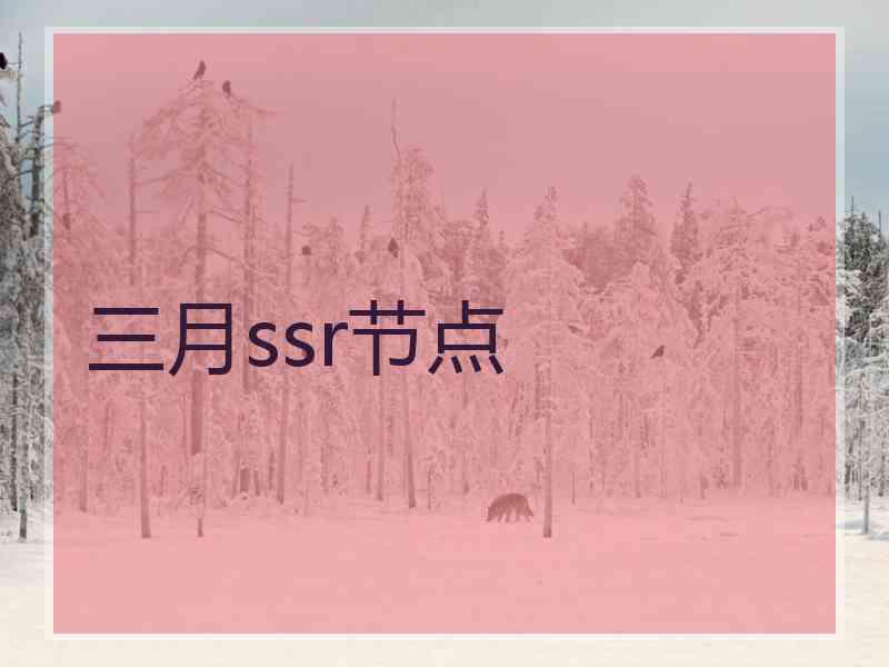 三月ssr节点