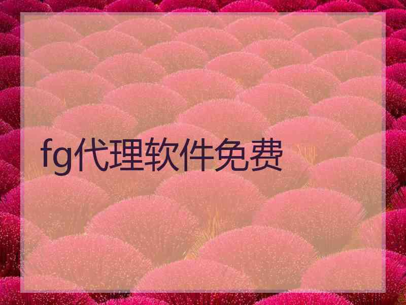 fg代理软件免费