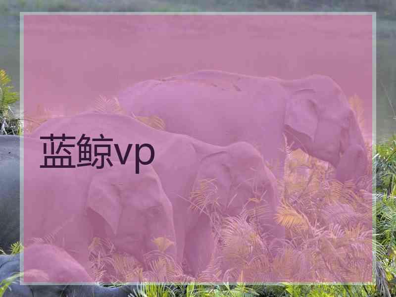 蓝鲸vp