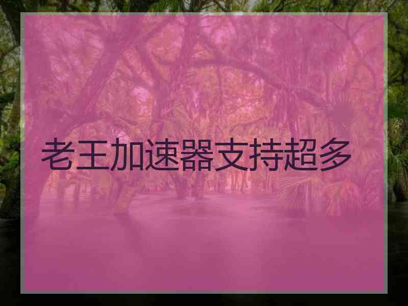 老王加速器支持超多