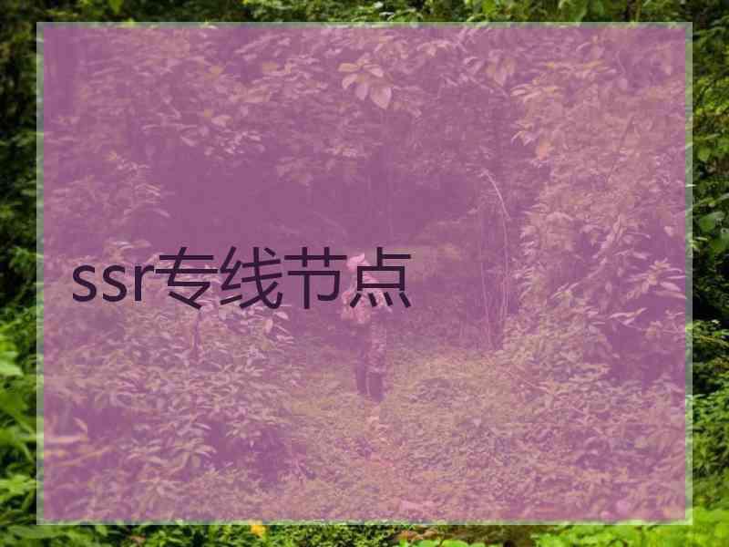 ssr专线节点