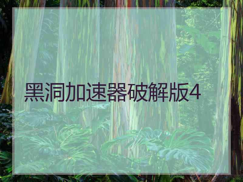 黑洞加速器破解版4
