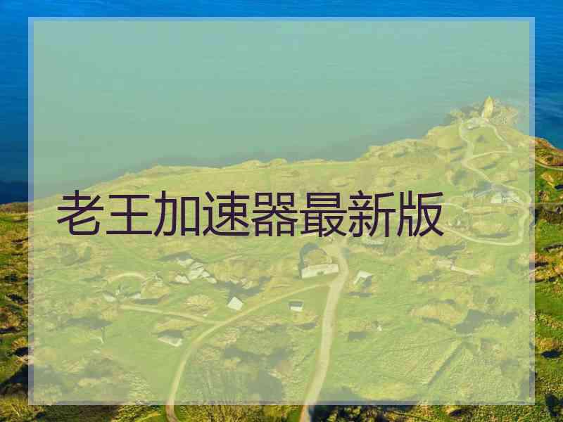 老王加速器最新版