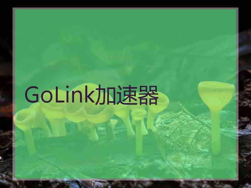 GoLink加速器