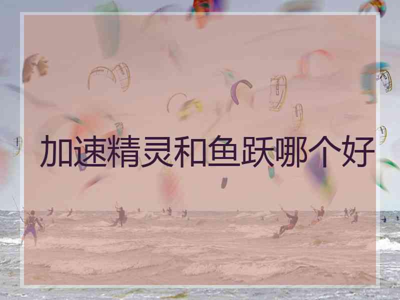 加速精灵和鱼跃哪个好
