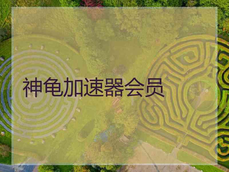 神龟加速器会员