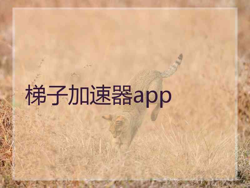 梯子加速器app